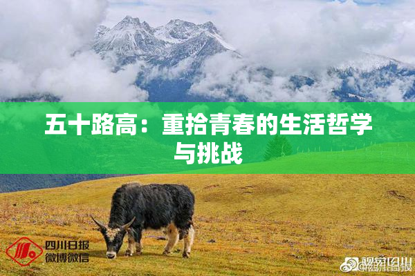 五十路高：重拾青春的生活哲学与挑战