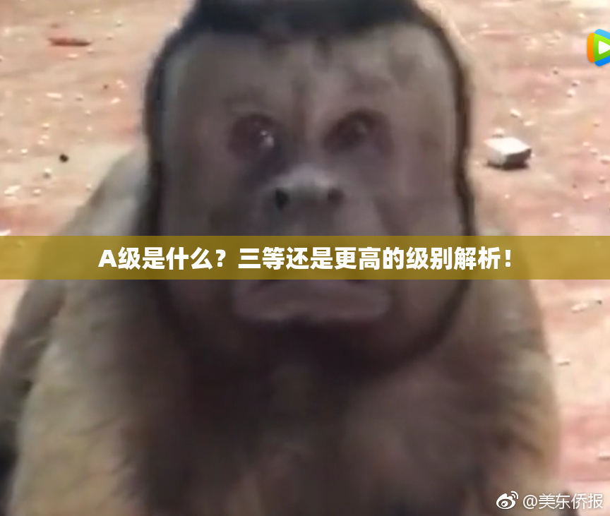 A级是什么？三等还是更高的级别解析！