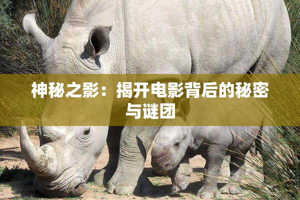 神秘之影：揭开电影背后的秘密与谜团