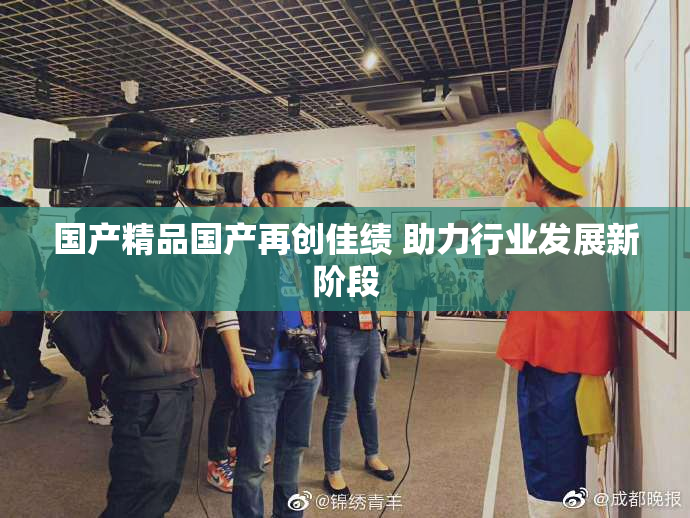 国产精品国产再创佳绩 助力行业发展新阶段