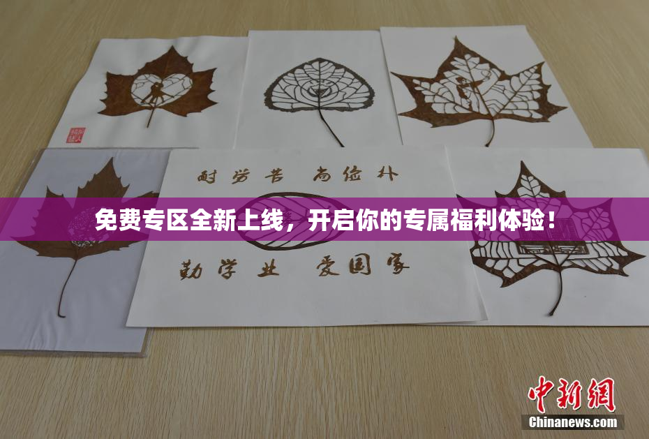 免费专区全新上线，开启你的专属福利体验！
