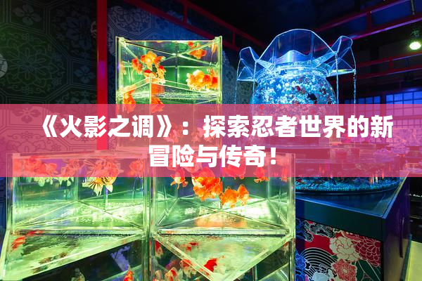 《火影之调》：探索忍者世界的新冒险与传奇！