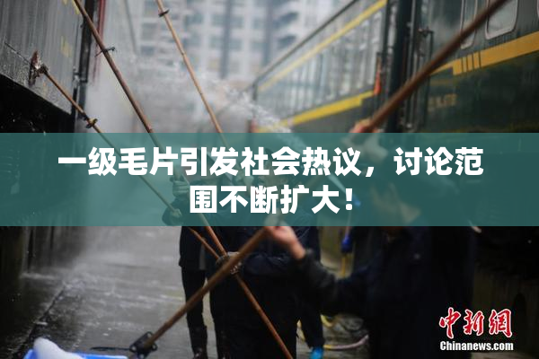 一级毛片引发社会热议，讨论范围不断扩大！