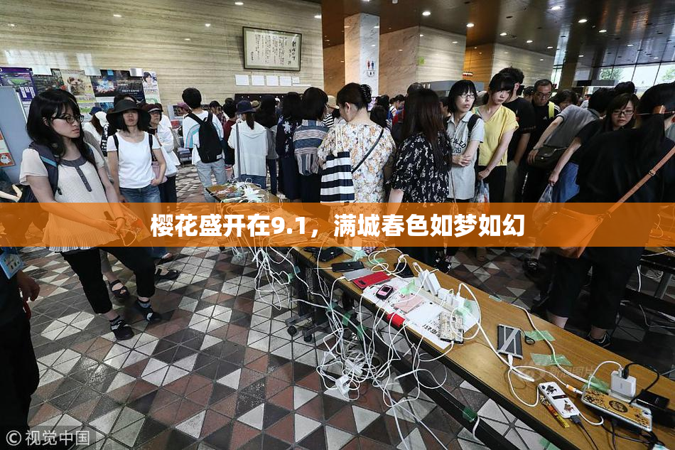 樱花盛开在9.1，满城春色如梦如幻