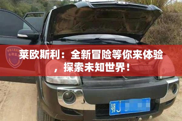 莱欧斯利：全新冒险等你来体验，探索未知世界！