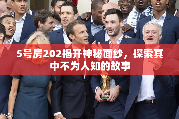 5号房202揭开神秘面纱，探索其中不为人知的故事