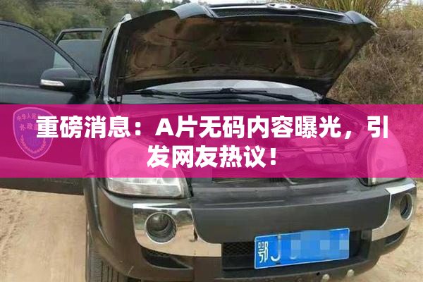 重磅消息：A片无码内容曝光，引发网友热议！