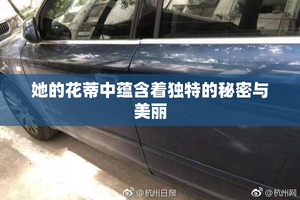 她的花蒂中蕴含着独特的秘密与美丽