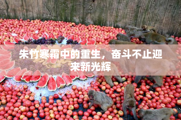 朱竹寒霜中的重生，奋斗不止迎来新光辉