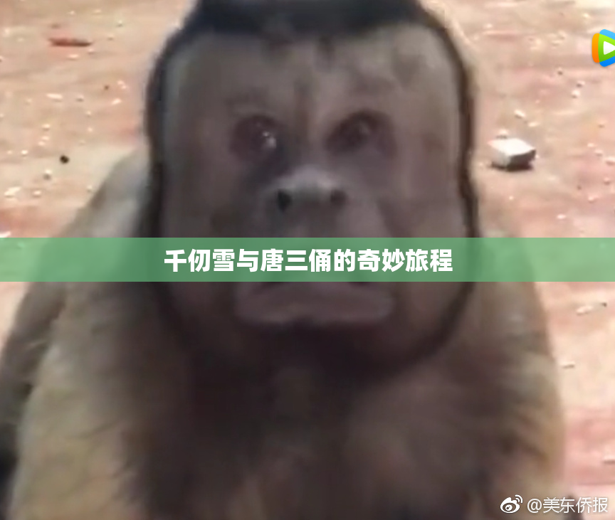 千仞雪与唐三俑的奇妙旅程