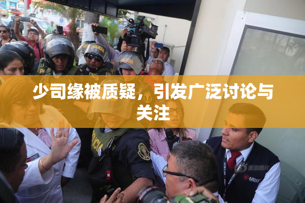 少司缘被质疑，引发广泛讨论与关注