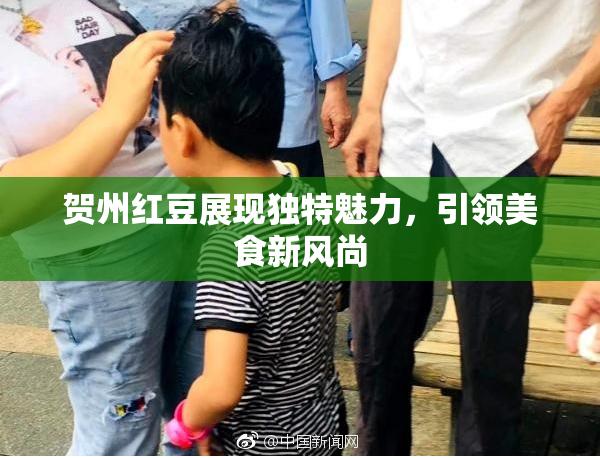 贺州红豆展现独特魅力，引领美食新风尚