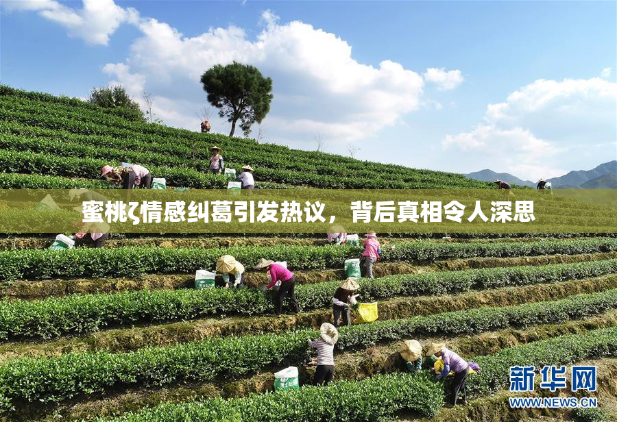 蜜桃ζ情感纠葛引发热议，背后真相令人深思
