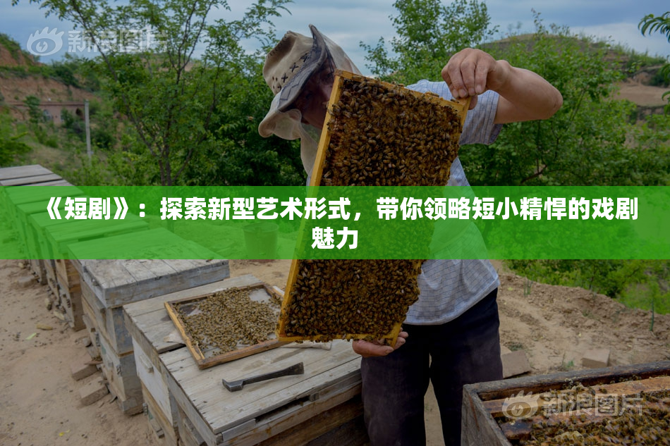《短剧》：探索新型艺术形式，带你领略短小精悍的戏剧魅力