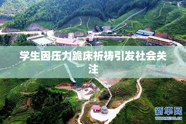 学生因压力跪床祈祷引发社会关注