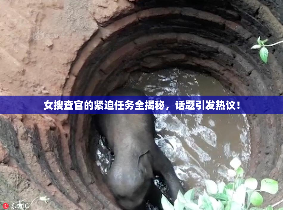 女搜查官的紧迫任务全揭秘，话题引发热议！