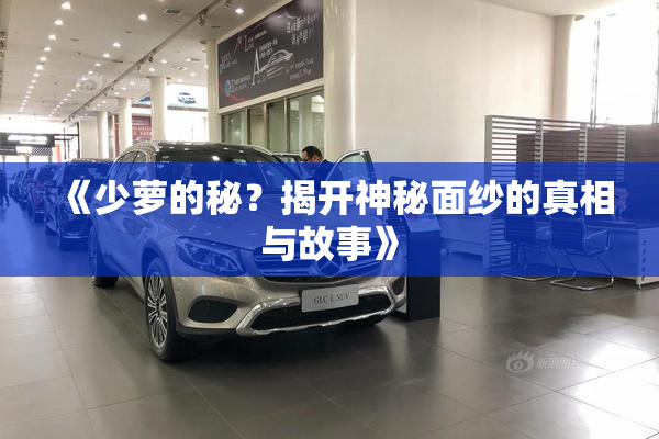 《少萝的秘？揭开神秘面纱的真相与故事》