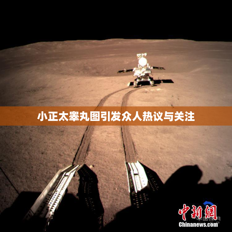 小正太睾丸图引发众人热议与关注
