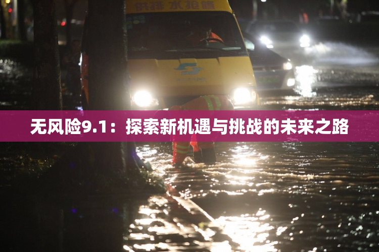 无风险9.1：探索新机遇与挑战的未来之路