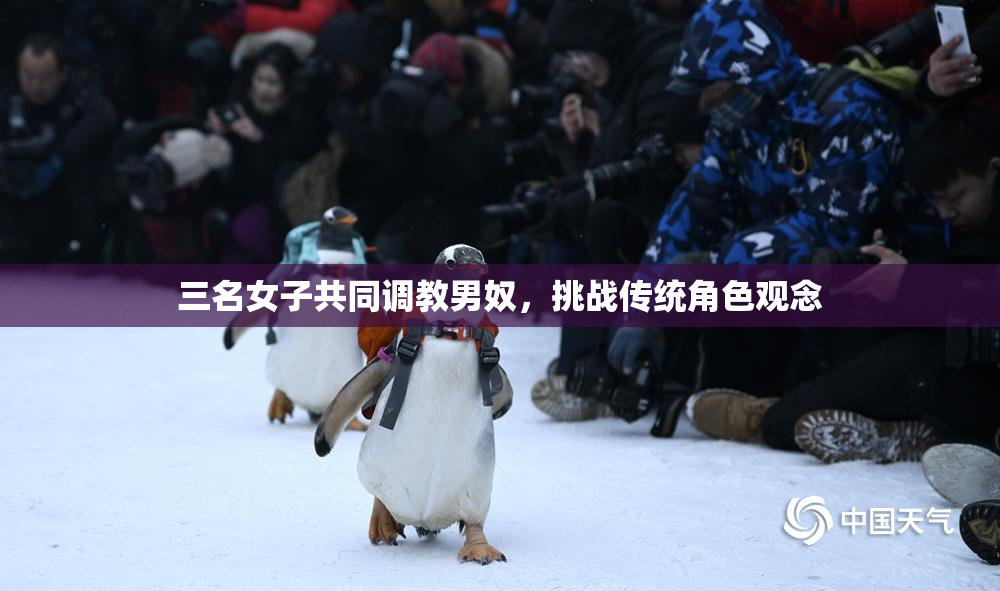三名女子共同调教男奴，挑战传统角色观念