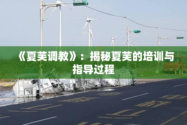 《夏芙调教》：揭秘夏芙的培训与指导过程