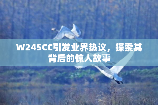 W245CC引发业界热议，探索其背后的惊人故事