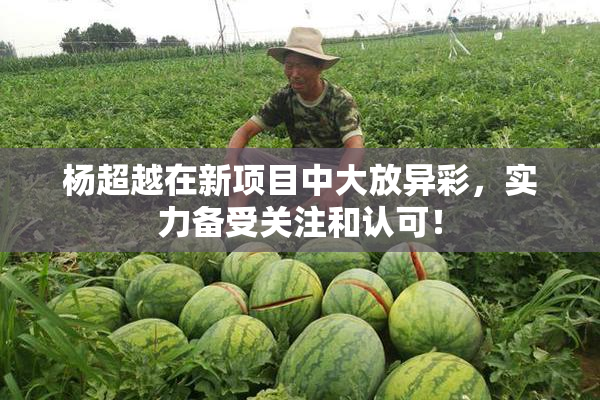 杨超越在新项目中大放异彩，实力备受关注和认可！