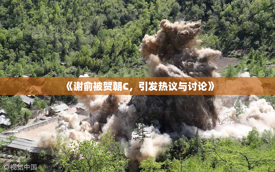 《谢俞被贺朝C，引发热议与讨论》