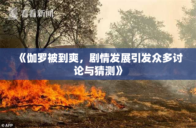 《伽罗被到爽，剧情发展引发众多讨论与猜测》