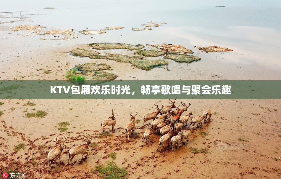 KTV包厢欢乐时光，畅享歌唱与聚会乐趣