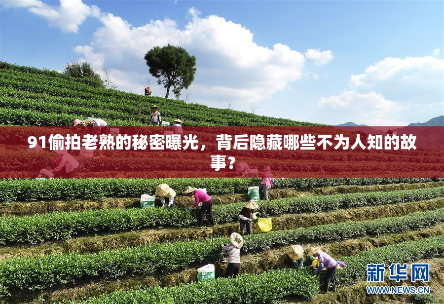 91偷拍老熟的秘密曝光，背后隐藏哪些不为人知的故事？