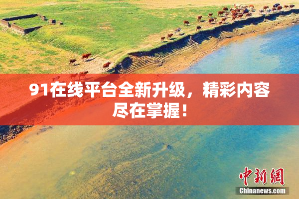 91在线平台全新升级，精彩内容尽在掌握！