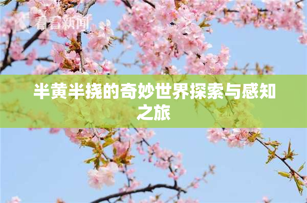 半黄半挠的奇妙世界探索与感知之旅