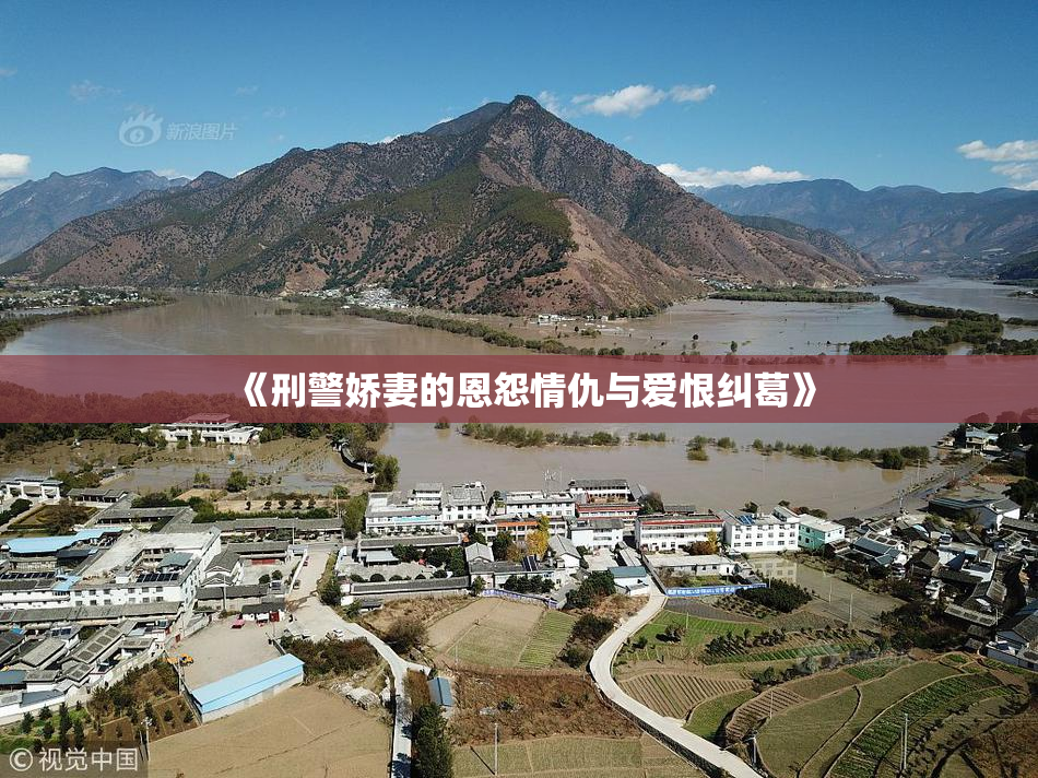 《刑警娇妻的恩怨情仇与爱恨纠葛》