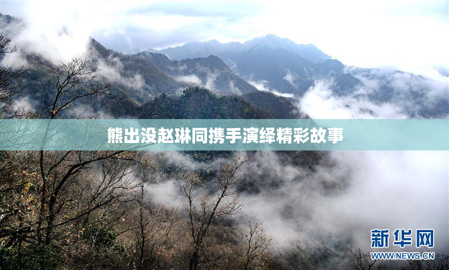 熊出没赵琳同携手演绎精彩故事