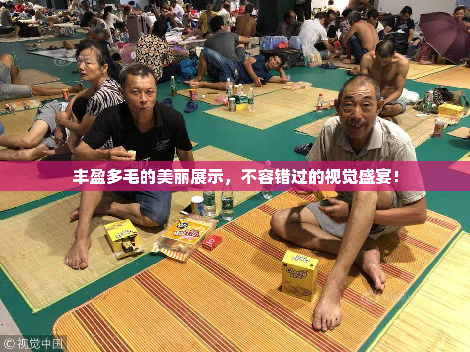 丰盈多毛的美丽展示，不容错过的视觉盛宴！