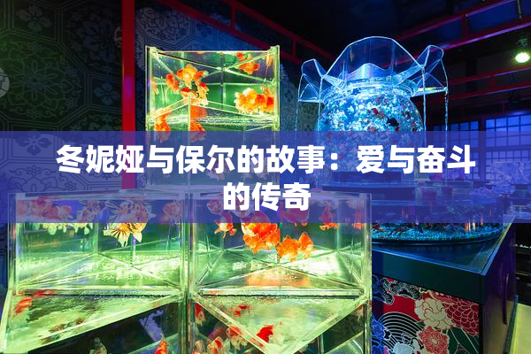 冬妮娅与保尔的故事：爱与奋斗的传奇
