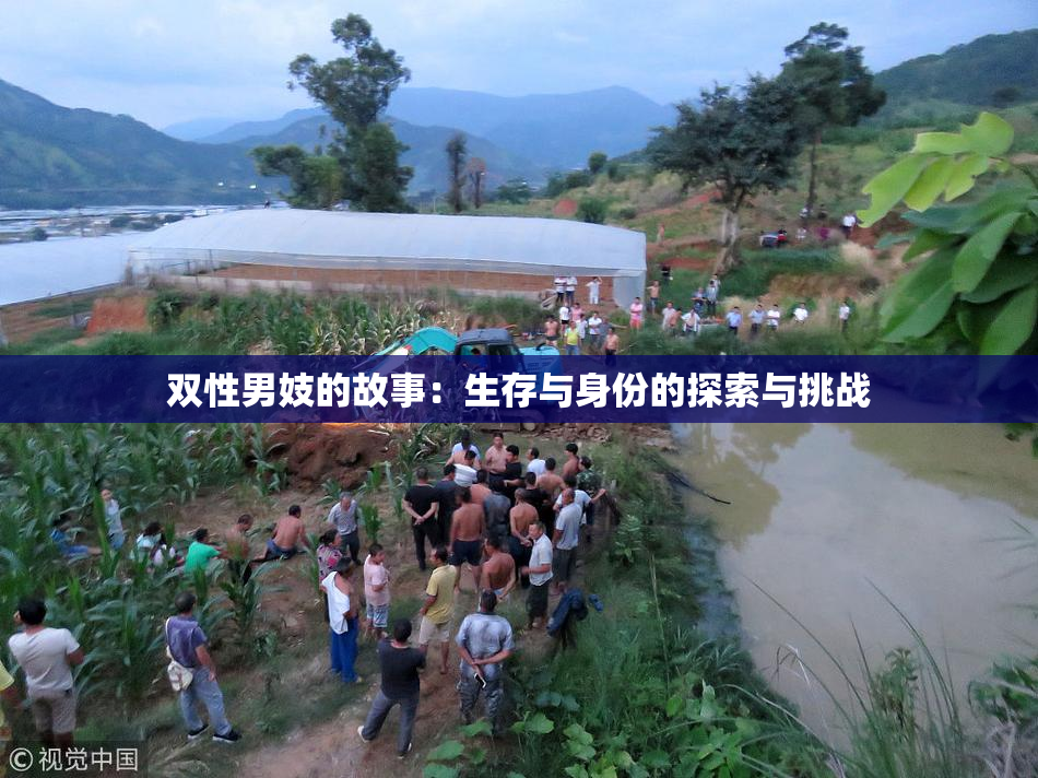 双性男妓的故事：生存与身份的探索与挑战