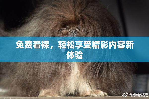免费看裸，轻松享受精彩内容新体验