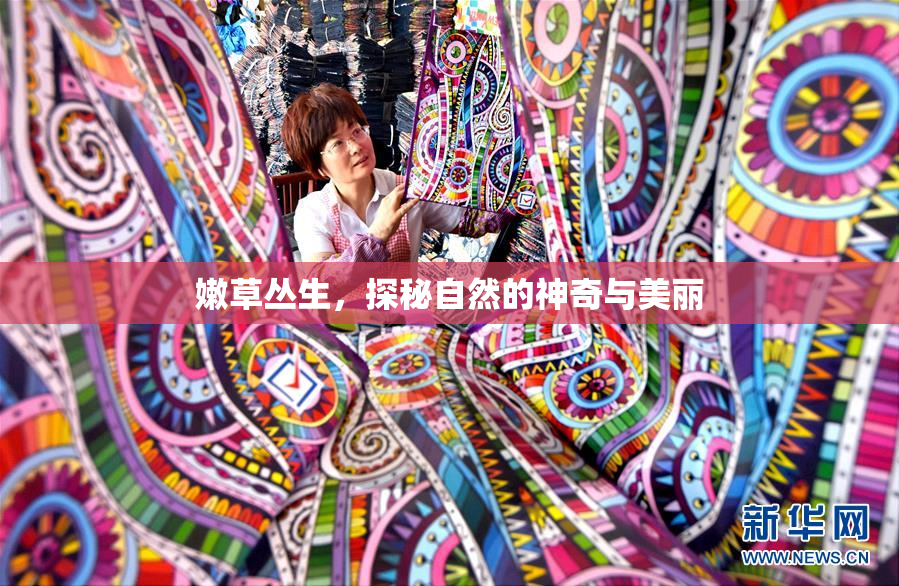 嫩草丛生，探秘自然的神奇与美丽