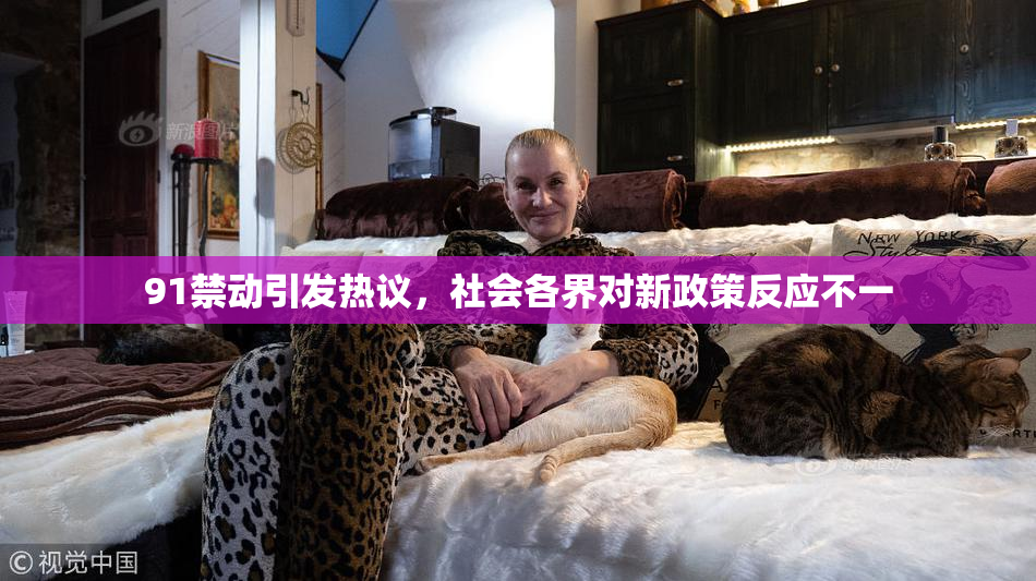 91禁动引发热议，社会各界对新政策反应不一