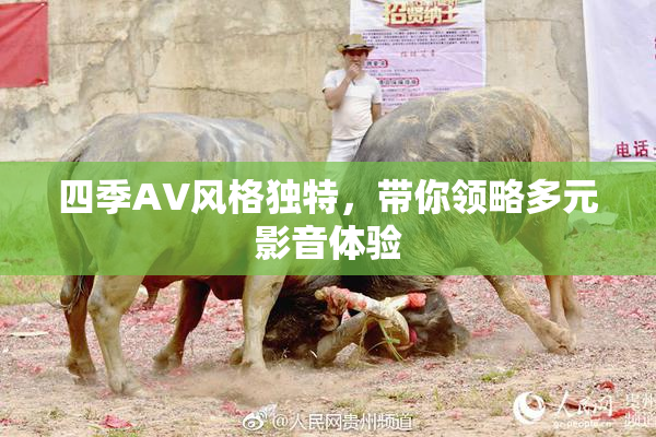 四季AV风格独特，带你领略多元影音体验