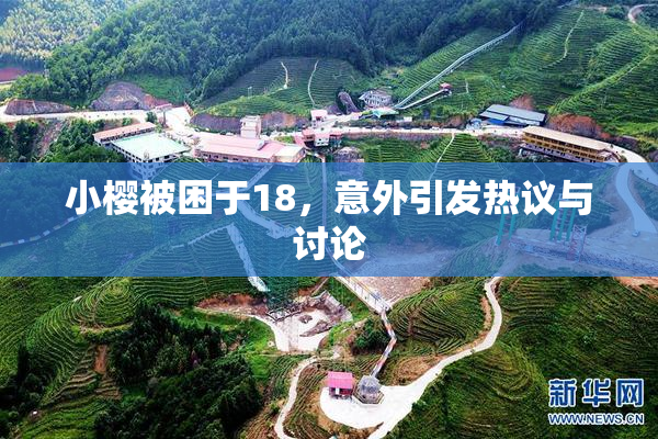 小樱被困于18，意外引发热议与讨论