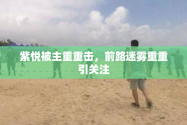 紫悦被主重重击，前路迷雾重重引关注
