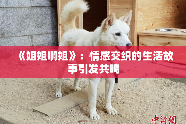《姐姐啊姐》：情感交织的生活故事引发共鸣