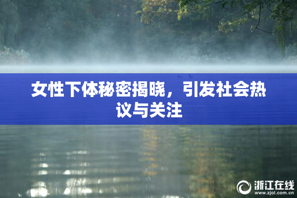女性下体秘密揭晓，引发社会热议与关注