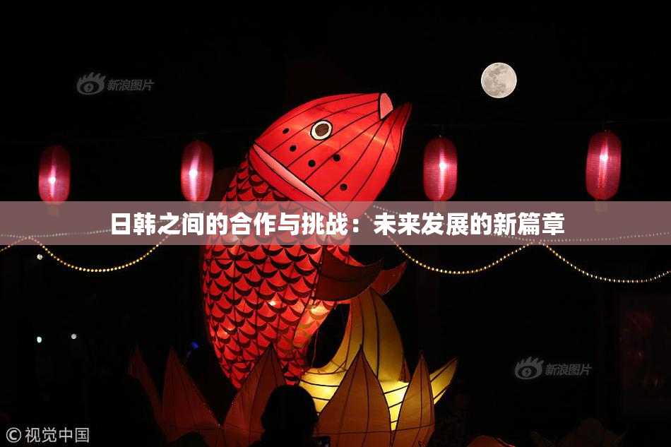 日韩之间的合作与挑战：未来发展的新篇章