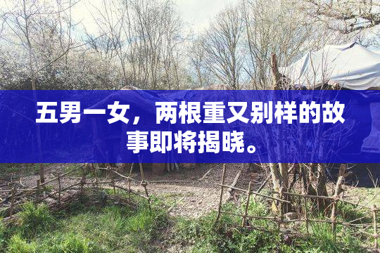 五男一女，两根重又别样的故事即将揭晓。