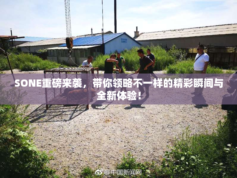 SONE重磅来袭，带你领略不一样的精彩瞬间与全新体验！