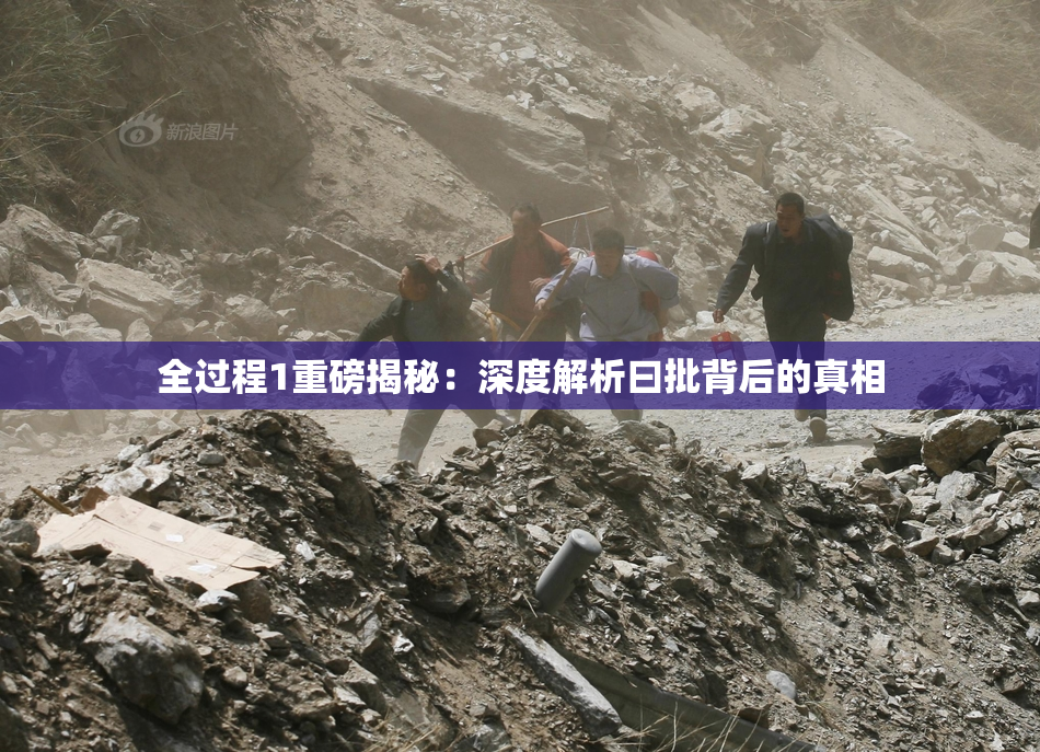 全过程1重磅揭秘：深度解析曰批背后的真相